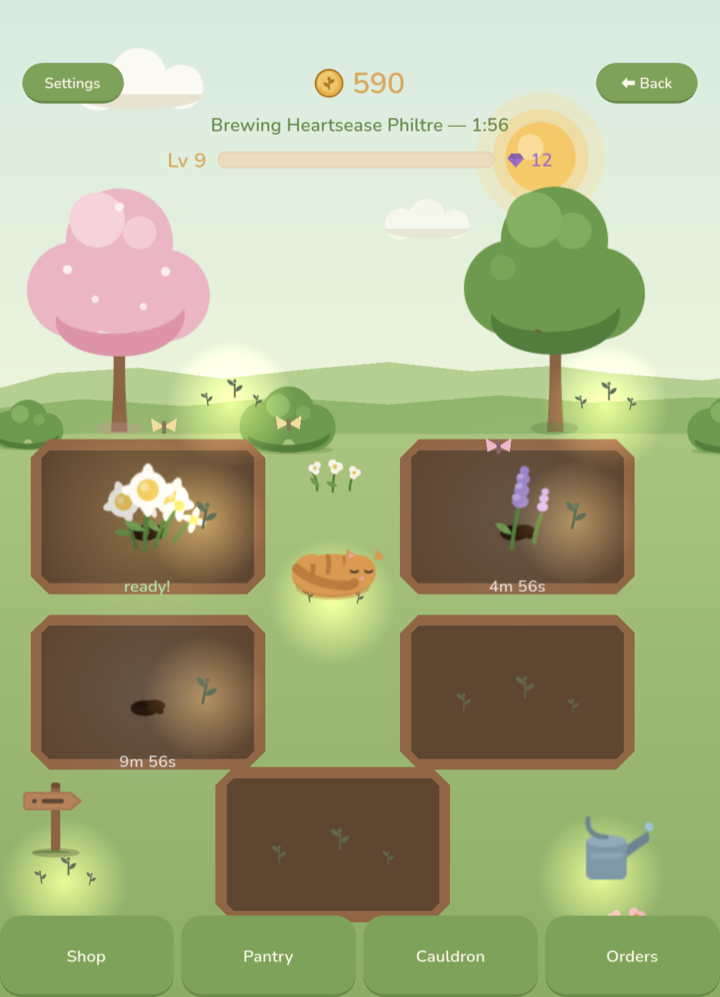 The garden, beds ripe, growing and just sprouted